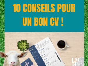 Comment faire un bon CV ? Nos conseils de pro!